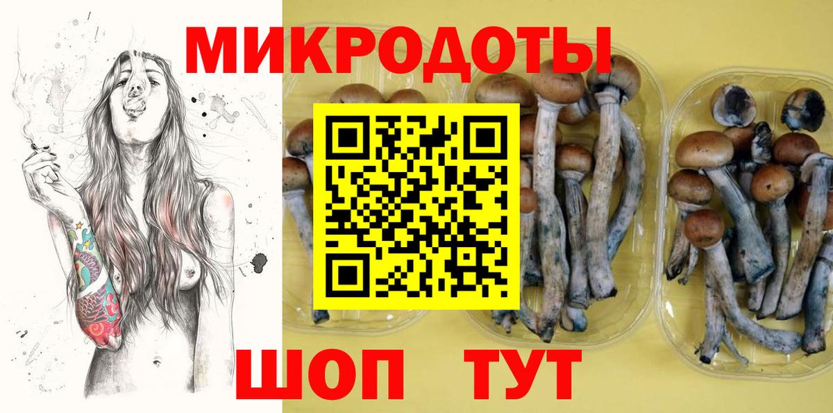 Галлюциногенные грибы Cubensis  цена наркотик  Тамбов  Вход с VPN 